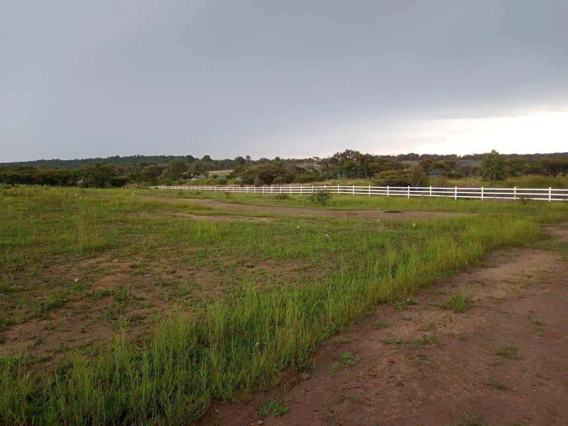 Pradera verde con camino de tierra y una cerca blanca en el fondo.